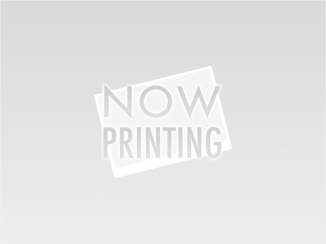�j�b�T�� �X�J�C���C�� GT-R ���Îԏ��F���̑�