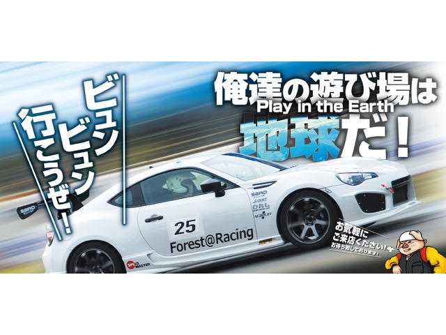 DRIVER'S CAFE FOREST