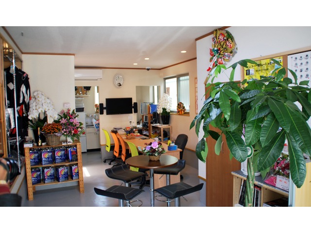 DRIVER'S CAFE FOREST