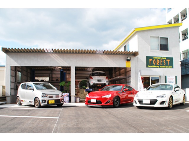 DRIVER'S CAFE FOREST